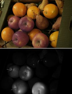 Visible Induced Infrared Luminescence on fruit